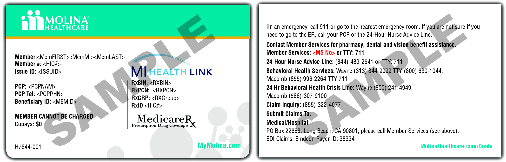 Member ID Molina Healthcare Michigan