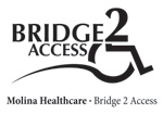  bridge to access