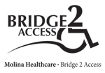Bridge to Access