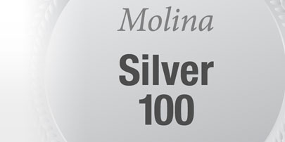 mp_psilver100_b