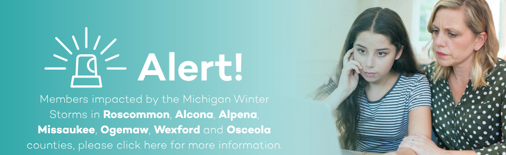 child and parent on computer