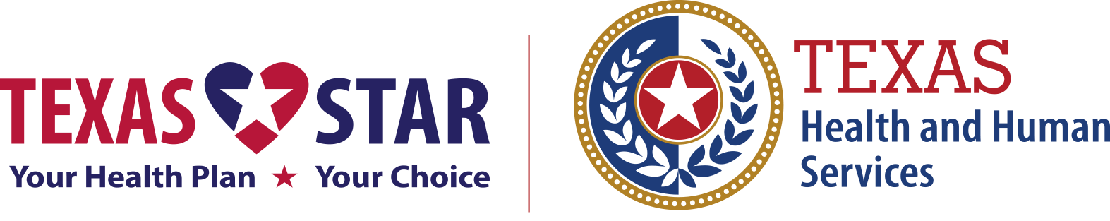 Texas Star logo