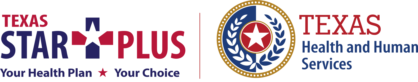 Texas StarPlus logo