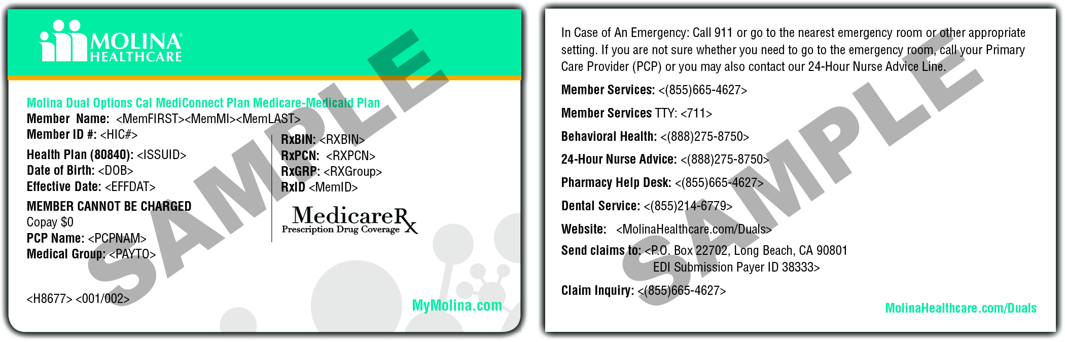 Insurance Policy Group Number Molina