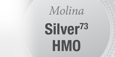 mp_silver73hmo_b