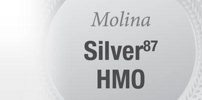 mp_silver87hmo_b