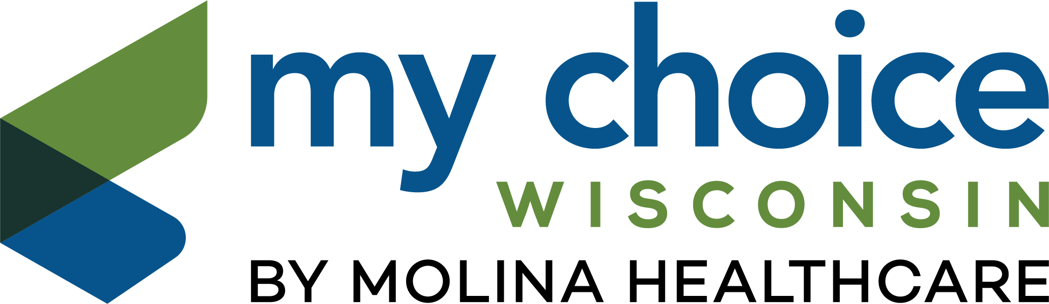 Molina Healthcare Logo