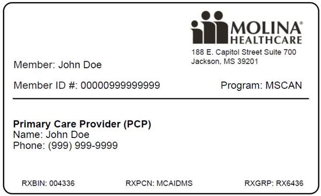 il car insurance card template