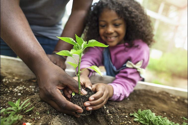 Kid planting