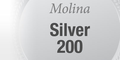 mp_psilver200_b