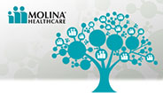 Molina Healthcare logo Molina Healthcare logo