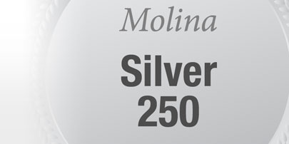 mp_psilver250_b