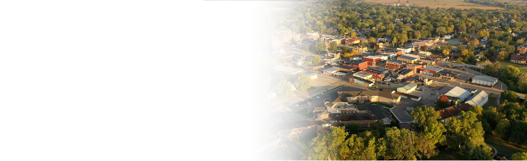 aerial view of town