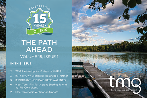 The Path Ahead 15 Years of IRIS Cover